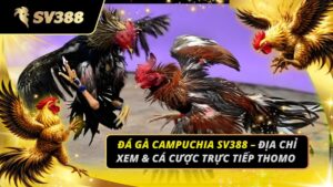 Đá Gà Campuchia SV388