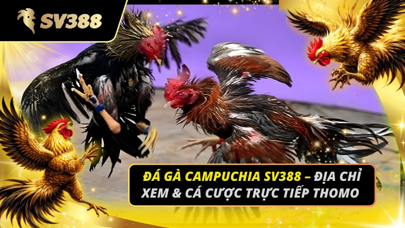 Đá Gà Campuchia SV388