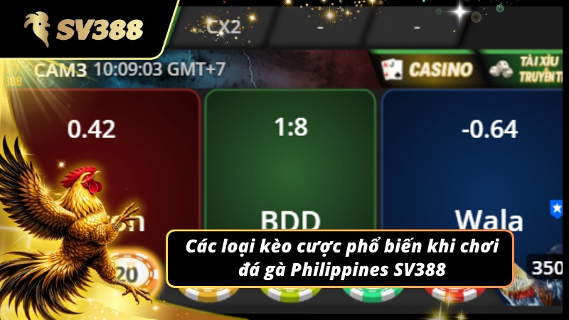 Các loại kèo phổ biến đang có mặt tại Đá gà Philippines SV388