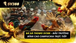 Đá Gà Thomo SV388