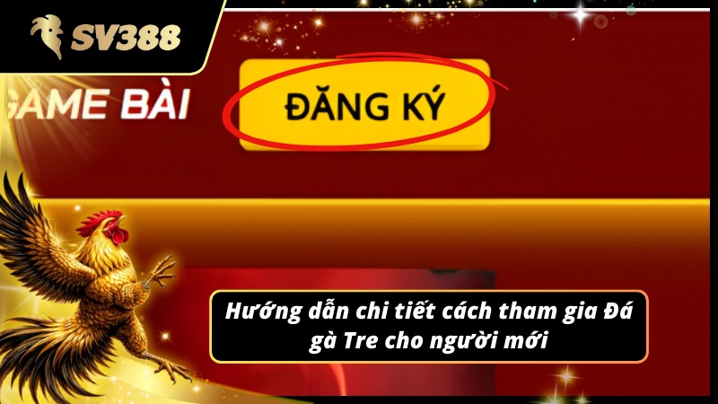 Hướng dẫn chi tiết cách tham gia Đá gà Tre SV388