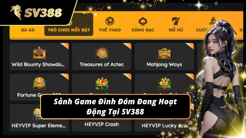 Đá gà và các sảnh cược hot nhất đều quy tụ tại SV388